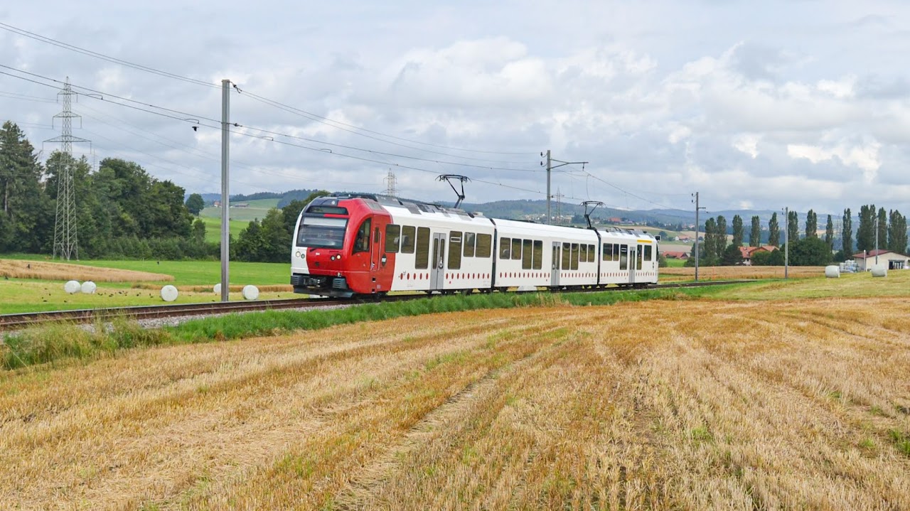 Meterspurzug der TPF